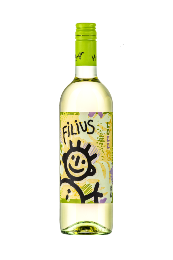 Filius 2022 2
