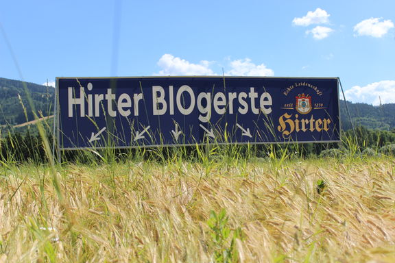Hirter Blog Regionalitet Kaerntner Biere Gerstenfeld