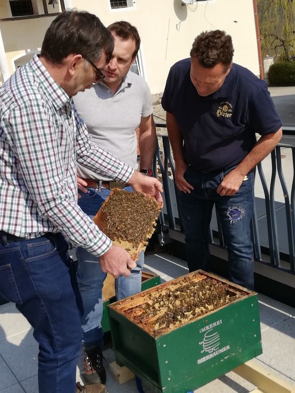 Hirter Brauerei News Bienenwaben