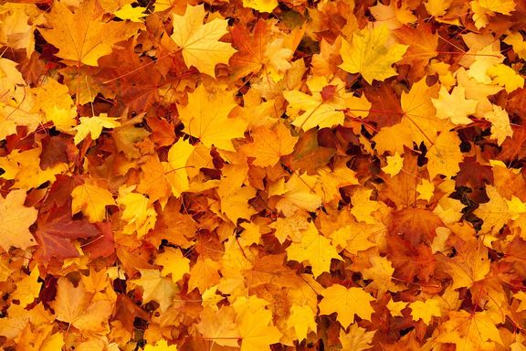autumn 83761 1280