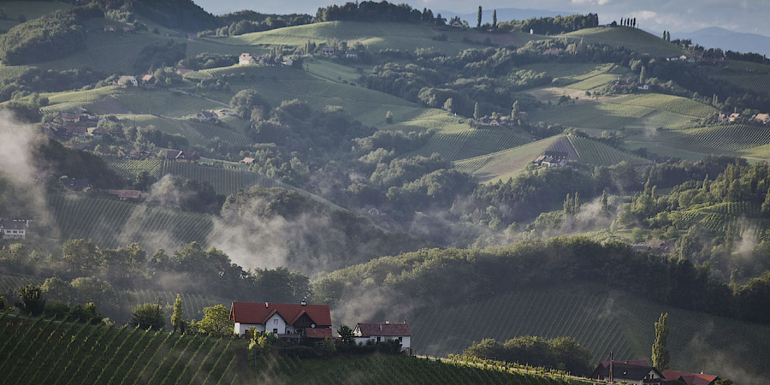 weine der Suedsteiermark entdecken