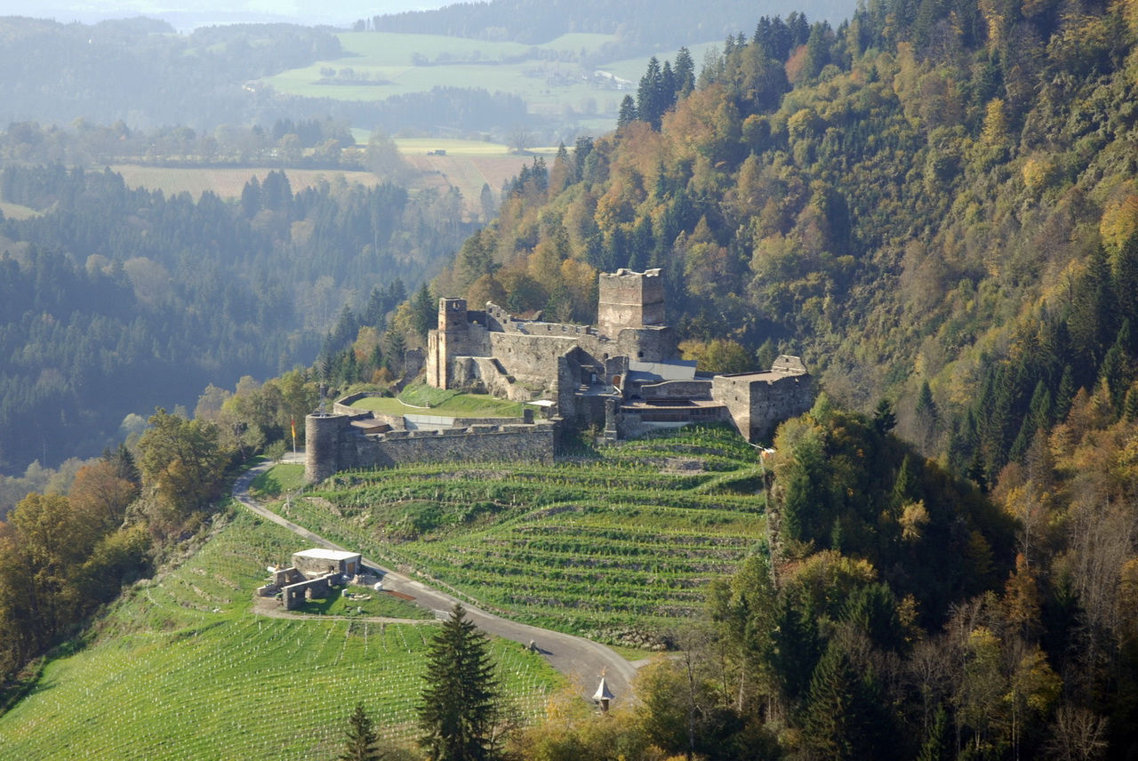 Tafelrunde der gereiften weine auf burg glanegg weinagentur jordan