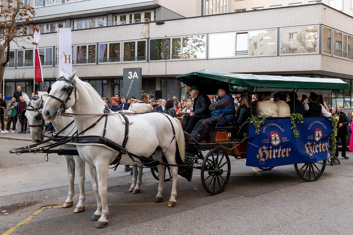 pferdewagen pfeilheim