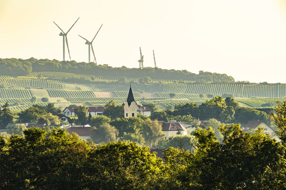 Jordan Winzerportrait Glatzer Carnuntum Goettlesbrunn c Robert Herbst