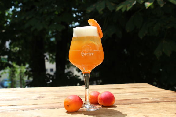 Hirter Bellini