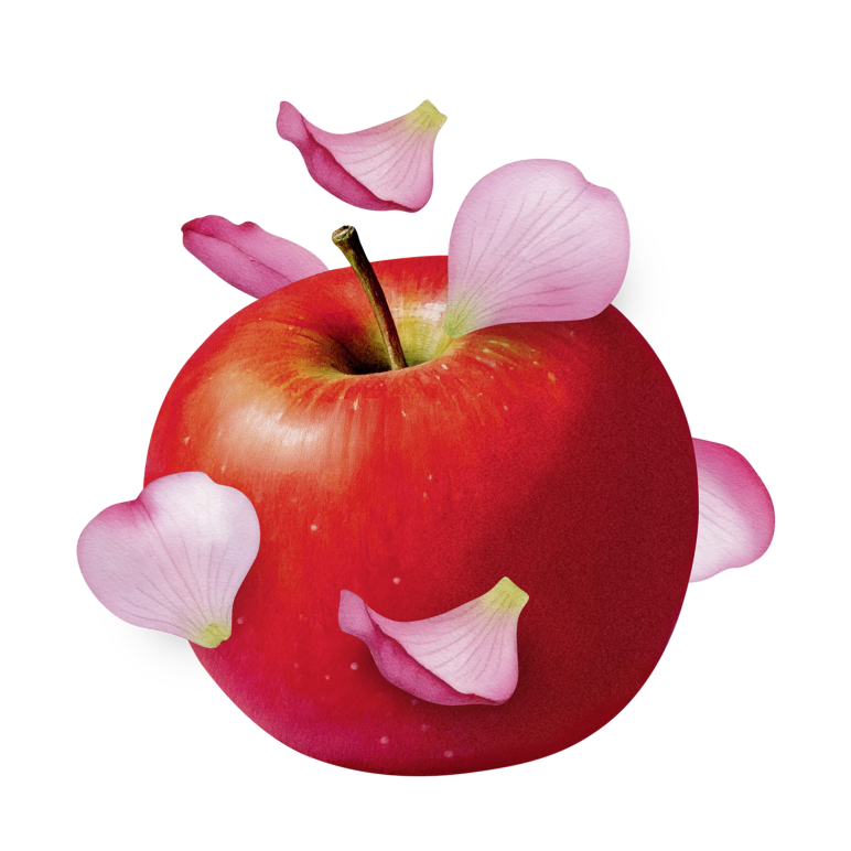 Apfel mit Apfelblüten
