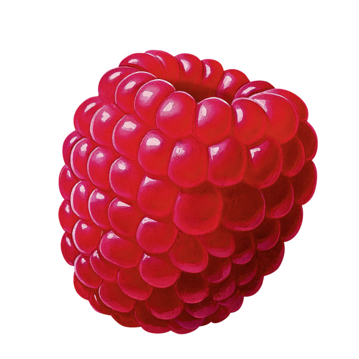 Hirter Crush Himbeere Eine einzelne rote Himbeere